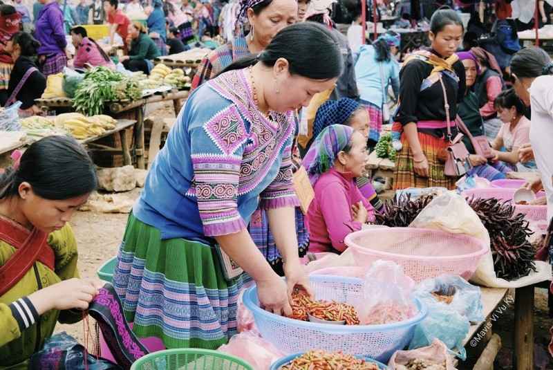 Trekking Northern Vietnam 11 Days